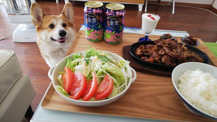 360モデナのこてつさんが投稿したカスタム事例の投稿画像4枚目