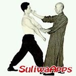 Cover Image of Download Best wing chun technique 2.0 APK