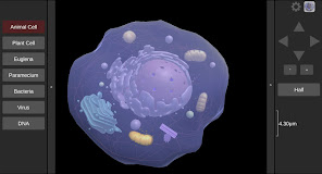 3D Virtual Cell