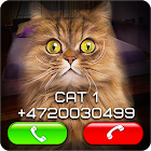 Fake Video Call Cat 1.5