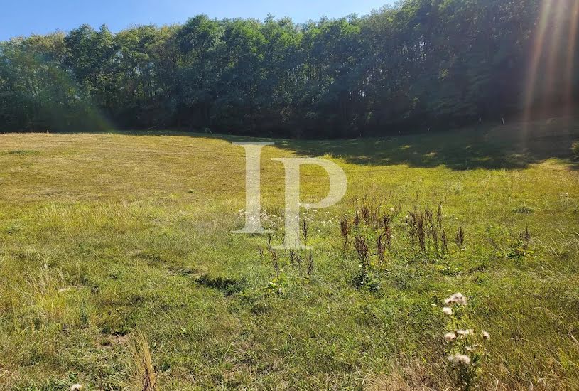  Vente Terrain à bâtir - 9 917m² à La Clayette (71800) 