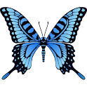 Click on the butterfly