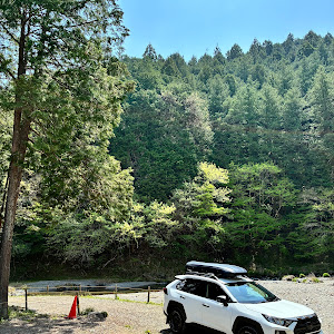 RAV4 MXAA54