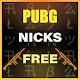 Name creator for pubg Download on Windows