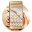 Golden launcher theme &wallpaper Download on Windows