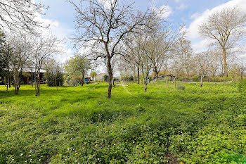 terrain à Vieillevigne (44)