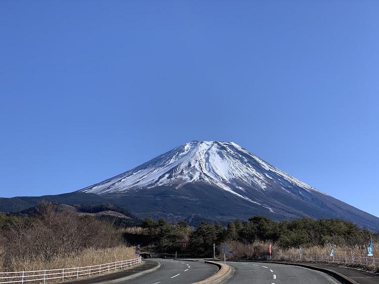 の投稿画像3枚目