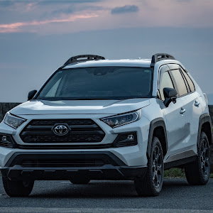 RAV4 MXAA54