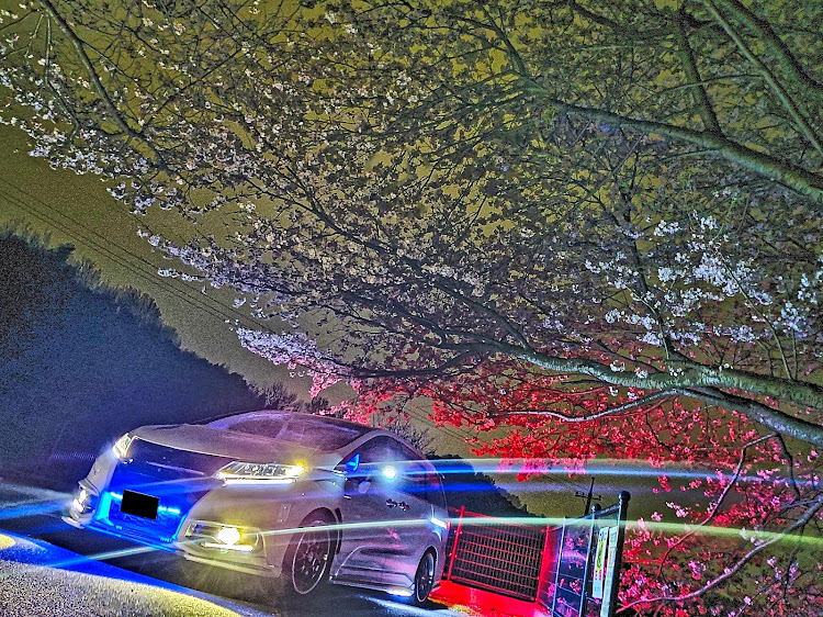 オデッセイの自分のスタイルは貫く・季節感・コメント喜びます・桜と愛車に関するカスタム事例の投稿画像2枚目