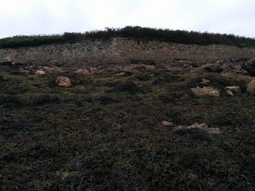 Fort Cezon, Marée Basse