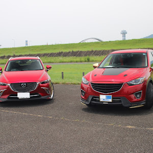 CX-3 DKEFW