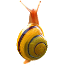 Snail simulator 1.5 APK تنزيل