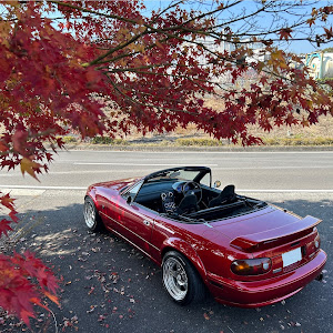 ロードスター NA6CE