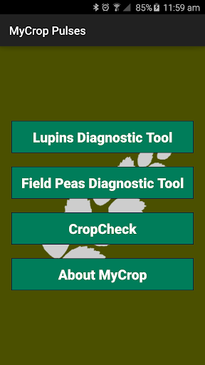 MyCrop Pulses