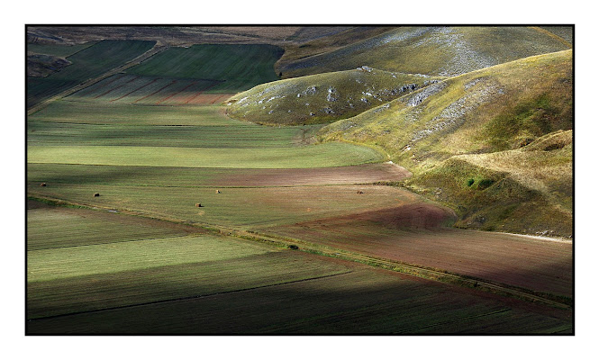 Pennellate autunnali di carlo-bi