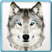 Wolf Wild Quest Simulator