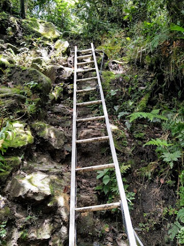 Gunung Nuang via Pangsun Ladders