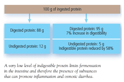 Improving digestibility to limit fermentation in the colon