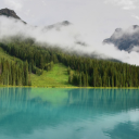 Lake next to the forest