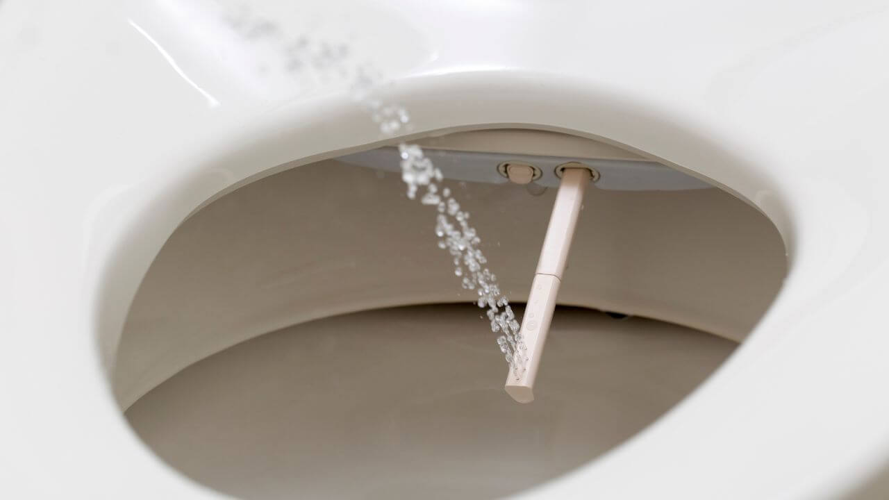 Bidet Toilet