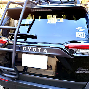 RAV4 MXAA54