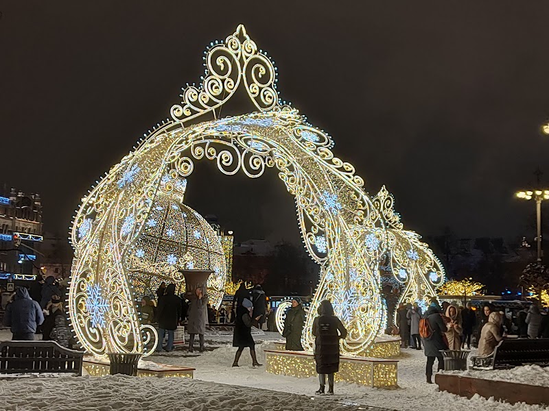 Цветочная терапия в условиях коронавируса или от весны до зимы все сезоны хороши 2020-2022 (Бонн-Брауншвейг-далее везде)