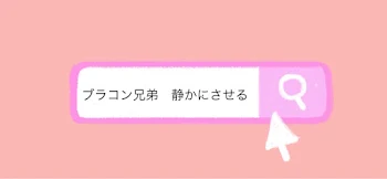 「ブラコン兄弟静かにさせる　🔍」のメインビジュアル