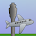 Airport Codes icon