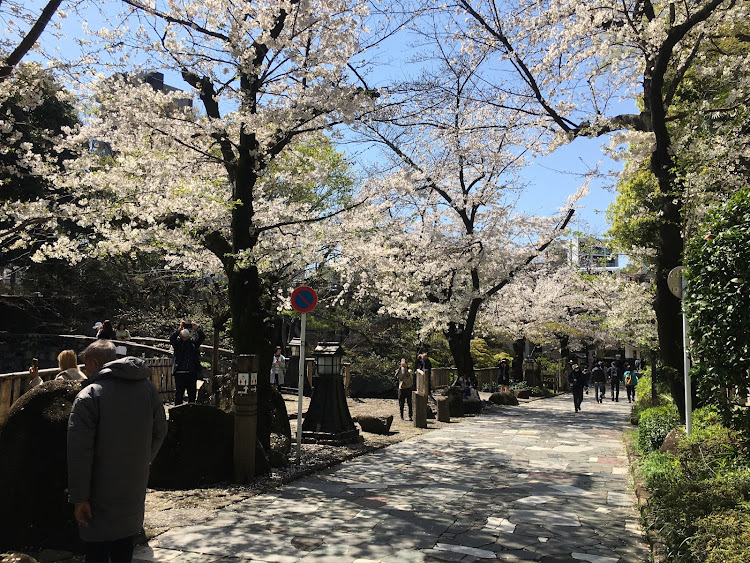 コペンの春☘️の花便り祭り!大八弾!良いね!イイね！いいね！最高だね！・幸せは自分自身で見出す物で他人から与えられる物では有りません！最高だね！・貧乏しても心❤️の貧乏人には成りたく無いですね！最高だね！・妬み!僻み!は持たず!心❤️豊かに過ごしましょう!最高だね！・人は人です!自分の納得出来る生き方をしましょう!最高だね！に関するカスタム事例の投稿画像45枚目