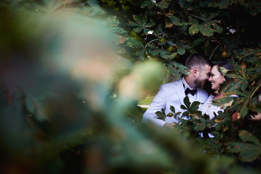 Fotografo di matrimoni Dawid Rojek (dawidrojek). Foto del 16 gennaio 2019