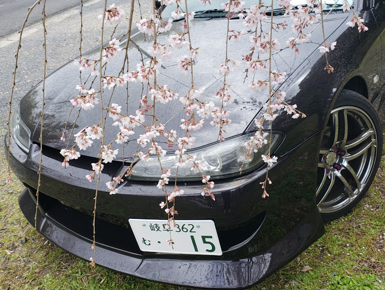 シルビアのヴァリエッタ・桜とコラボに関するカスタム事例の投稿画像5枚目