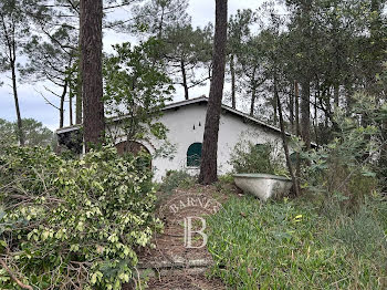 villa à Lege-cap-ferret (33)