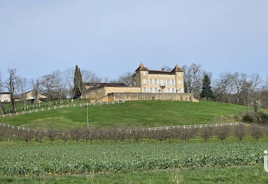 Château 7