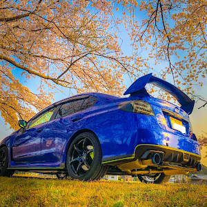 WRX STI VAB