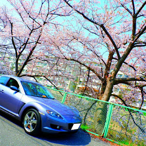 RX-8 SE3P