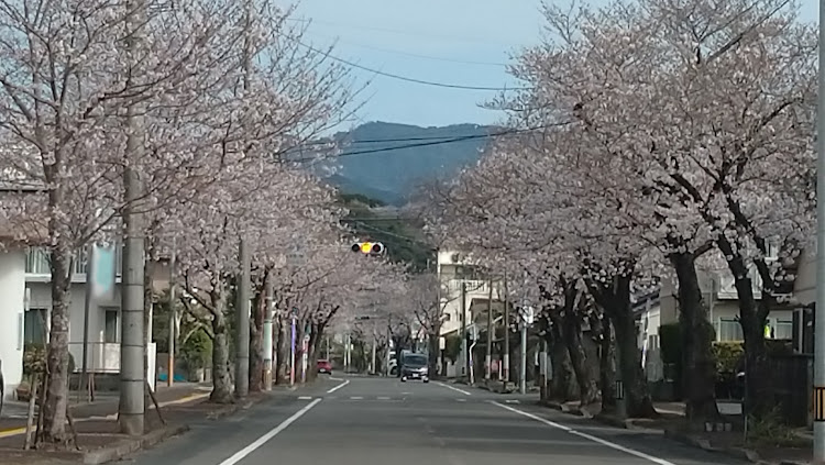 の投稿画像5枚目