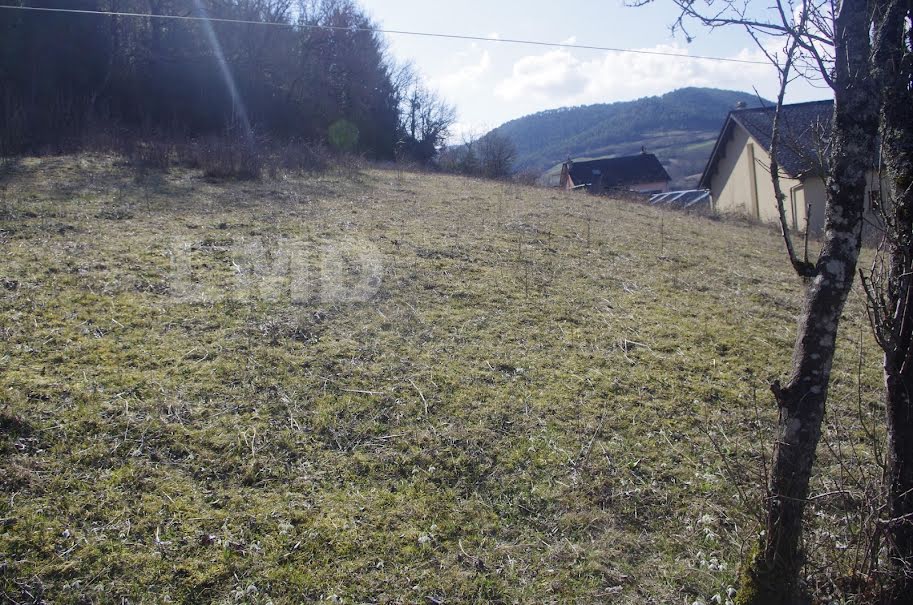 Vente terrain  2900 m² à Banassac (48500), 38 000 €