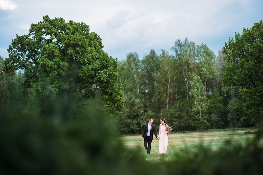 Fotografo di matrimoni Aleksandr Karpovich (karpovich). Foto del 13 giugno 2016