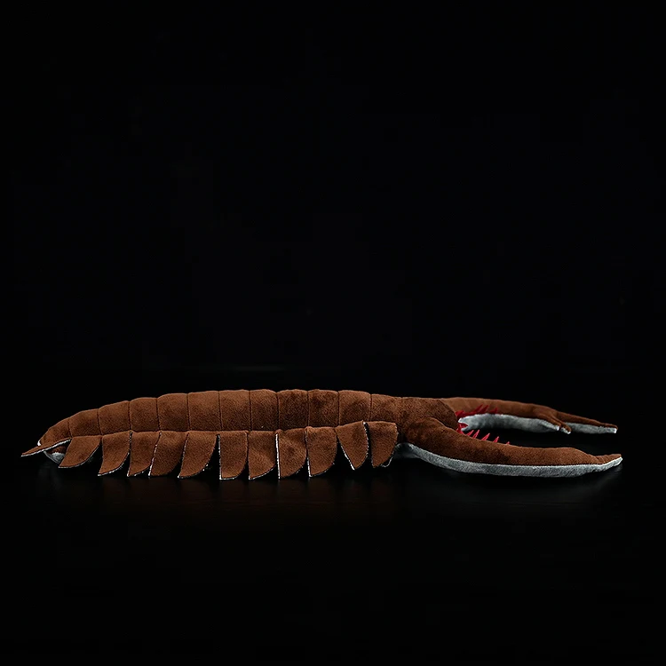 images slider number - 4