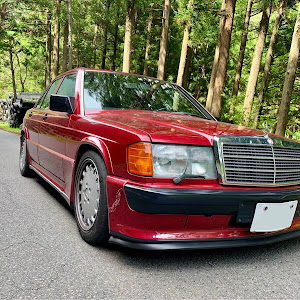 190シリーズ W201