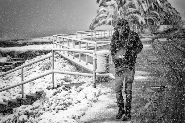 nella tormenta..... di michele vitulano