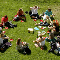 Pic nic in cerchio di Cigo