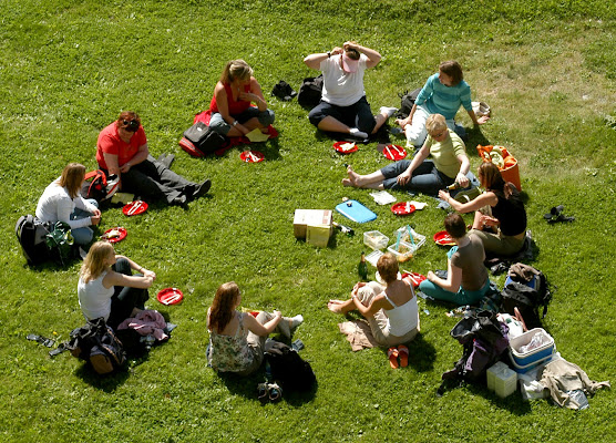 Pic nic in cerchio di Cigo