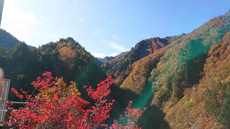 の投稿画像4枚目