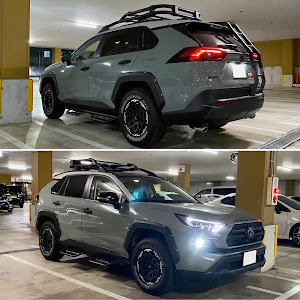 RAV4 MXAA54