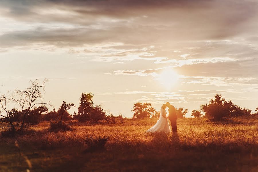 Fotógrafo de bodas Dmitriy Vasilenko (dmvasilenko). Foto del 28 de julio 2015