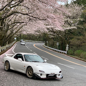 RX-7 FD3S 後期