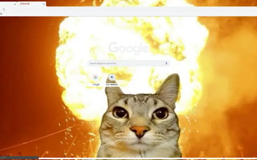 catt Preview 1