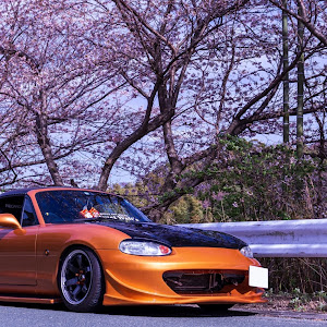 ロードスター NB6C