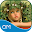 Ask the Fairies Download on Windows